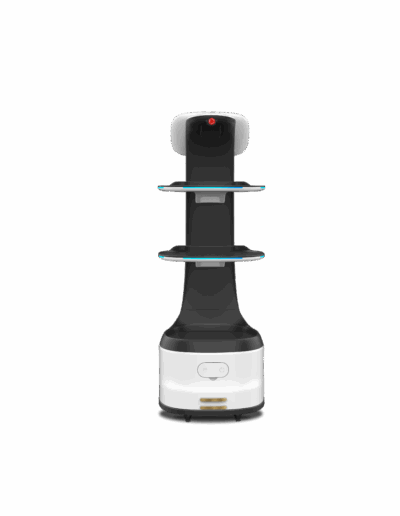 KEENON DINERBOT T8
