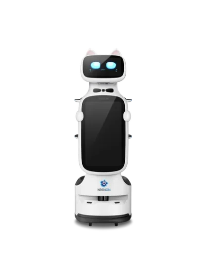 KEENON DINERBOT T11