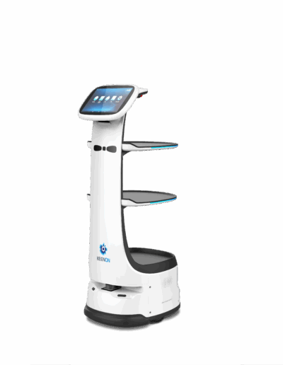 KEENON DINERBOT T9